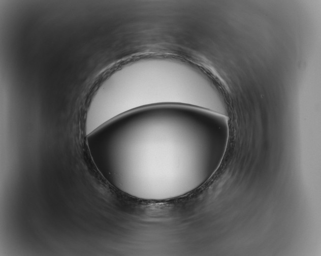 X0000093091304200709260902