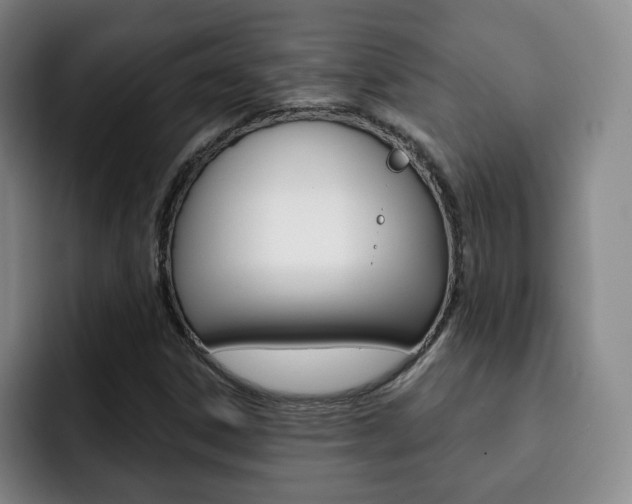 X0000093091306200709260902