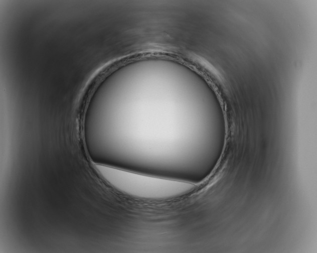 X0000093091310200709260902