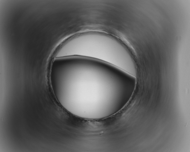 X0000093091312200709260902