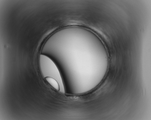 X0000093091317200709260902