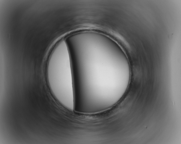 X0000093091318200709260902