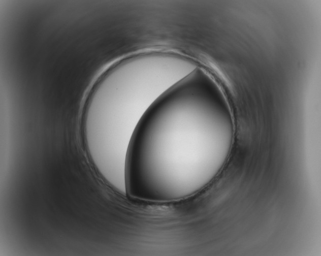 X0000093091320200709260902