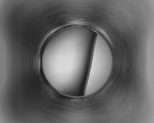 X0000093091323200709260902