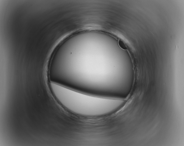 X0000093091325200709260902