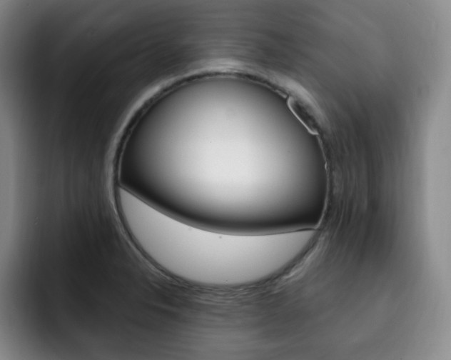 X0000093091326200709260902