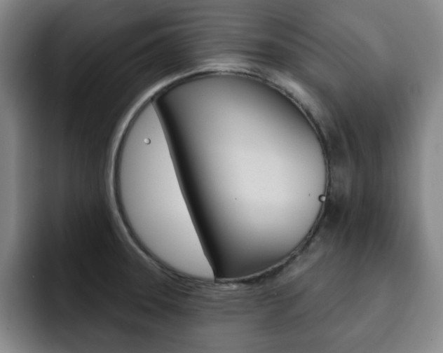 X0000093091331200709260902