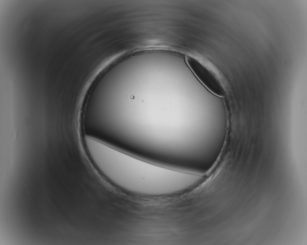 X0000093091333200709260902