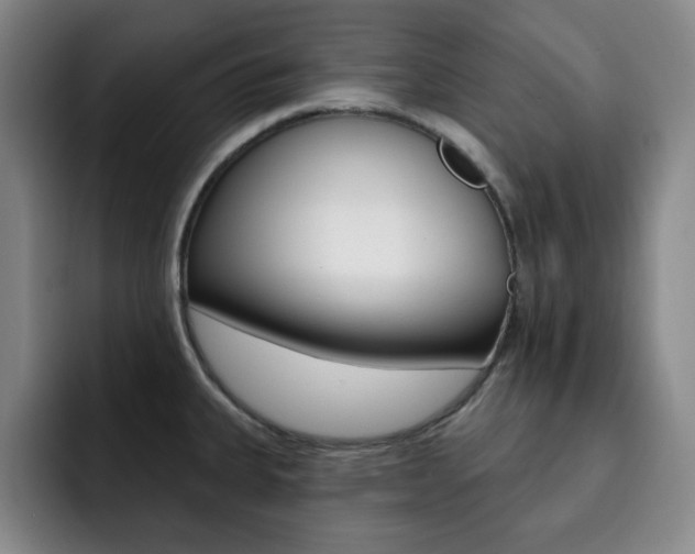 X0000093091335200709260902