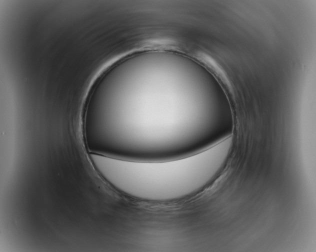 X0000093091336200709260902