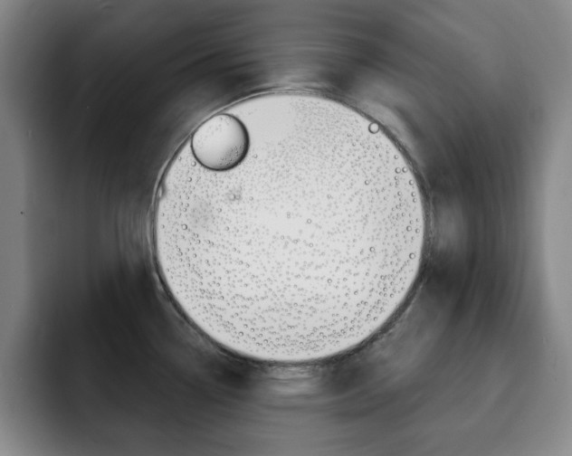 X0000093091338200709260902