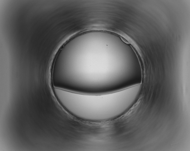 X0000093091341200709260902
