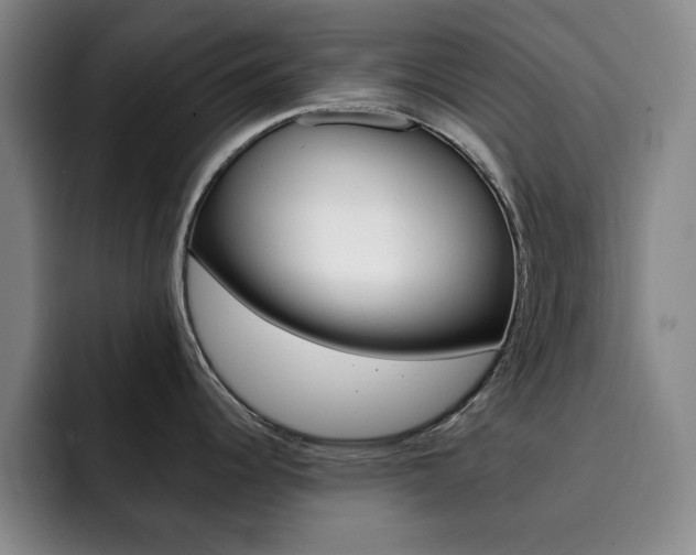 X0000093091344200709260902