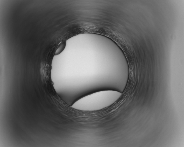 X0000093091346200709260901
