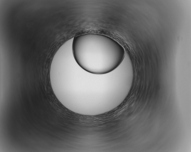 X0000093091348200709260901
