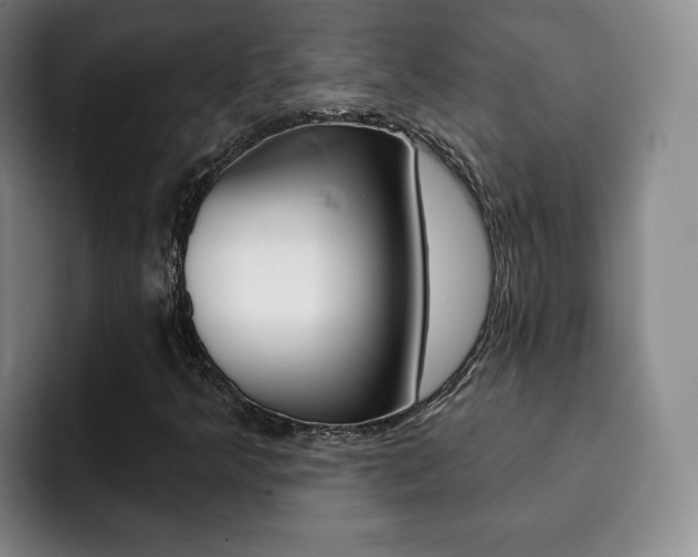X0000093091349200709260901