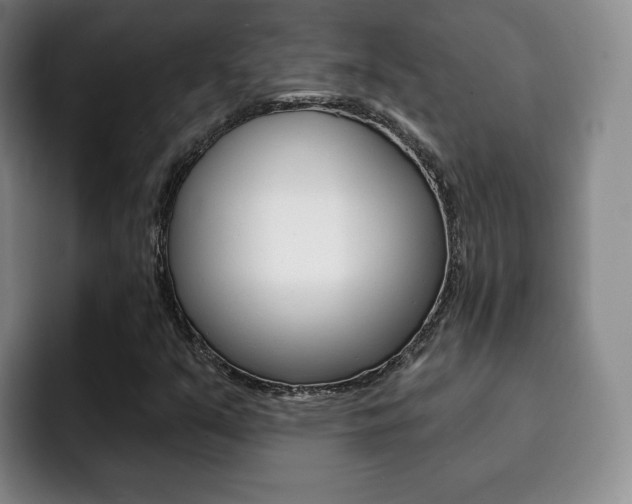X0000093091351200709260901