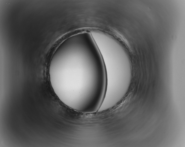 X0000093091352200709260901