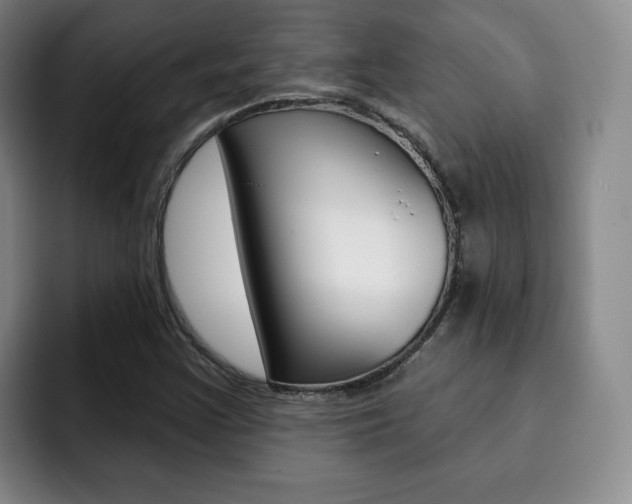 X0000093091355200709260901