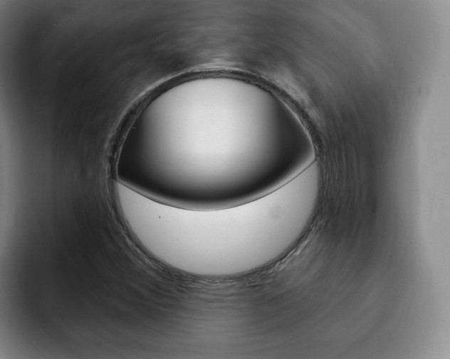 X0000093091356200709260901