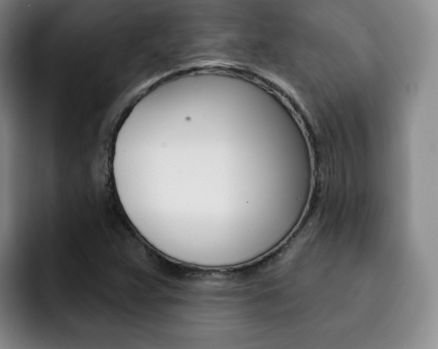 X0000093091359200709260901