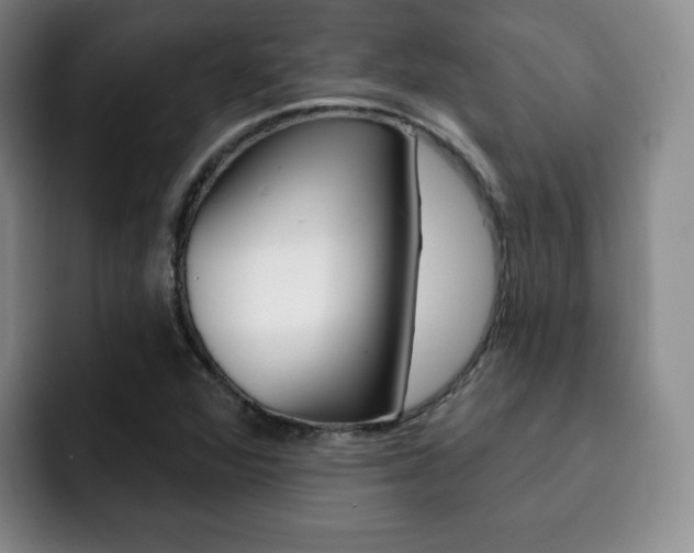 X0000093091360200709260901