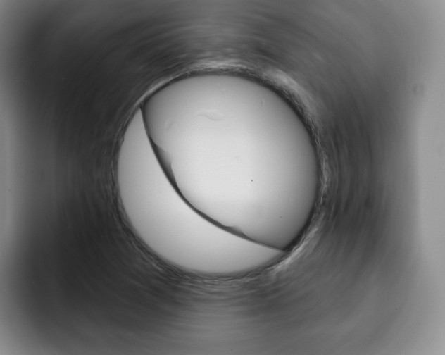 X0000093091361200709260901