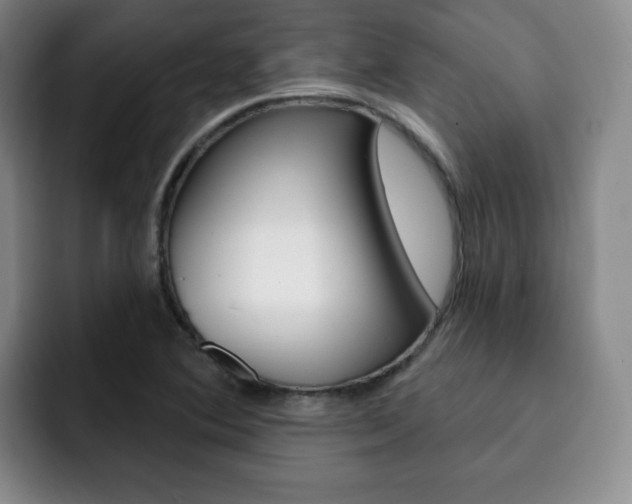 X0000093091364200709260901