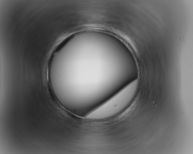 X0000093091365200709260901