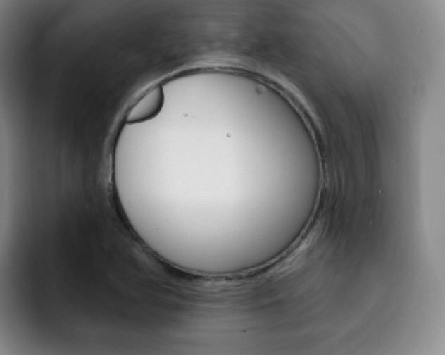 X0000093091366200709260901