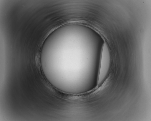 X0000093091369200709260901