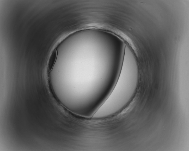 X0000093091373200709260901