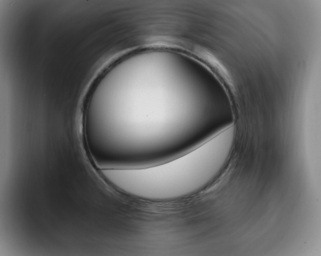 X0000093091376200709260901