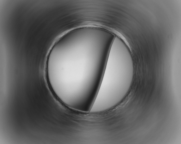 X0000093091379200709260901