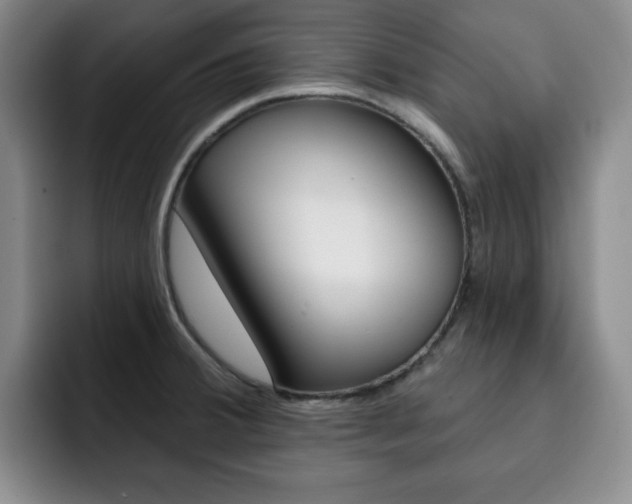X0000093091380200709260901