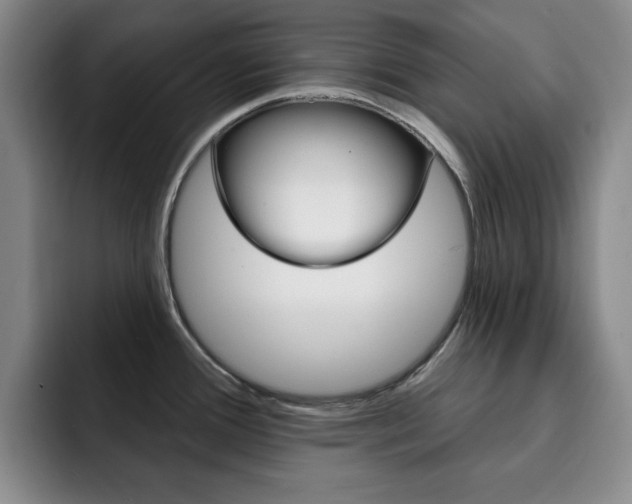 X0000093091388200709260901