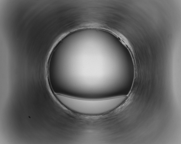 X0000093091389200709260901