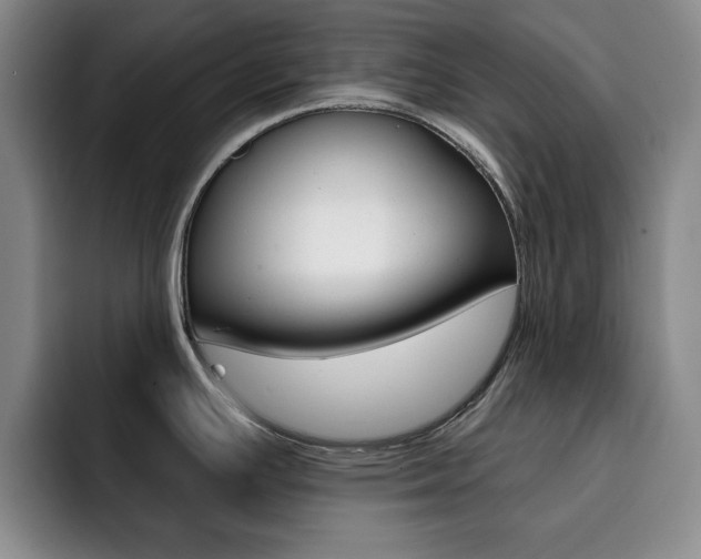 X0000093091391200709260901