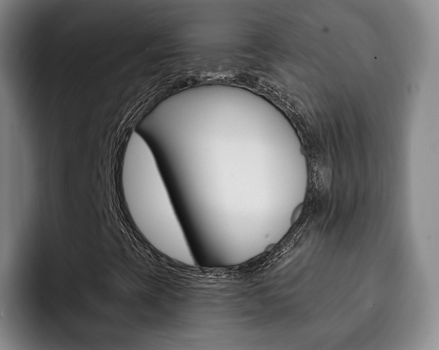 X0000093091393200709260900