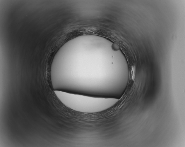 X0000093091395200709260900