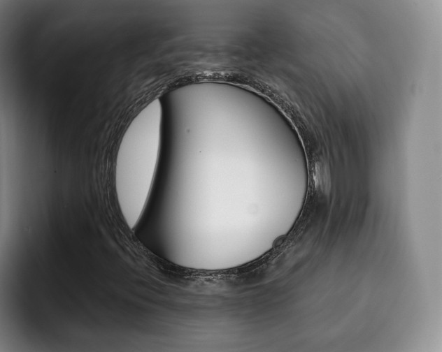 X0000093091396200709260900