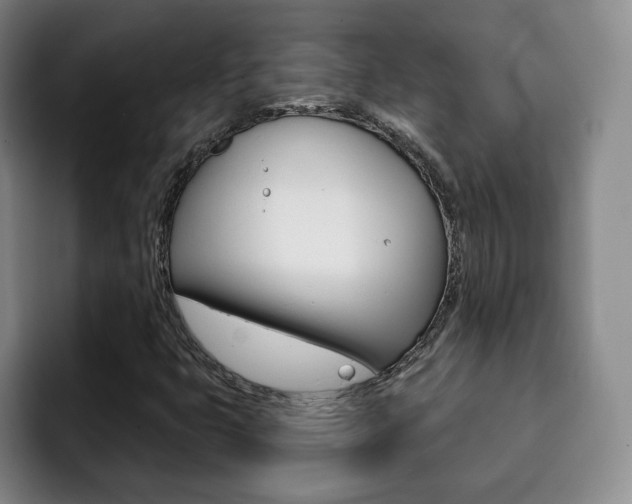 X0000093091399200709260900
