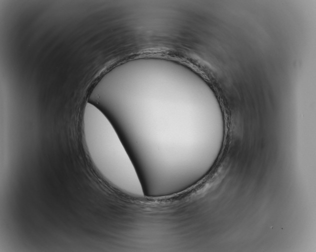 X0000093091401200709260900