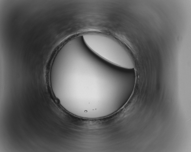 X0000093091404200709260900