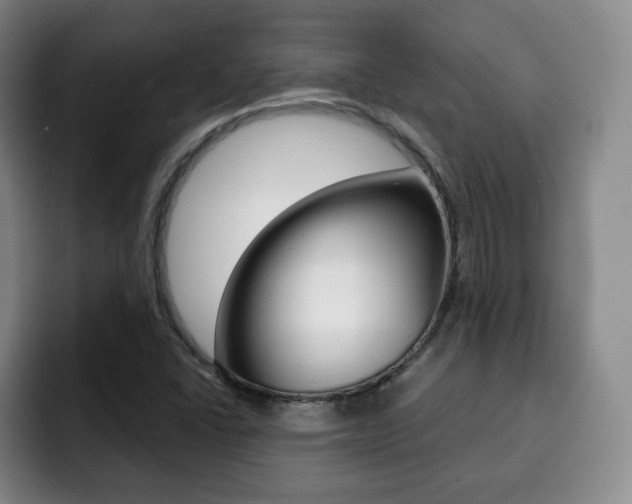 X0000093091406200709260900