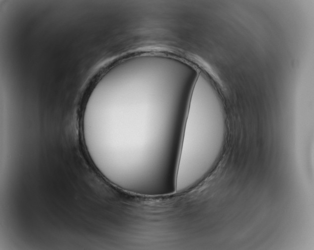X0000093091408200709260900