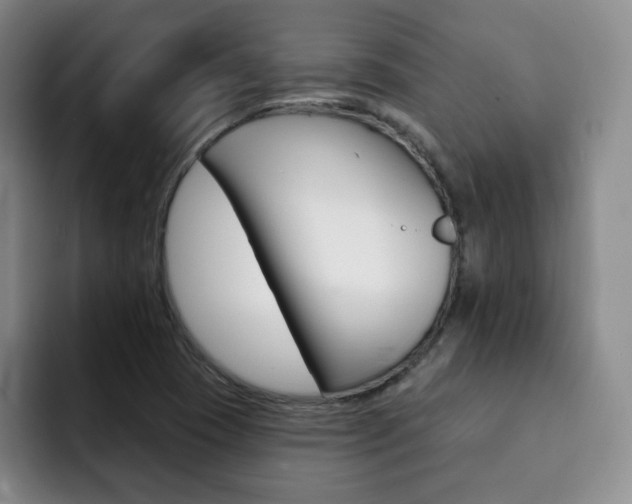 X0000093091409200709260900