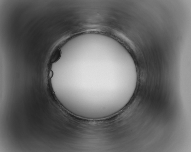 X0000093091411200709260900