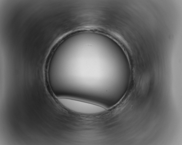 X0000093091412200709260900