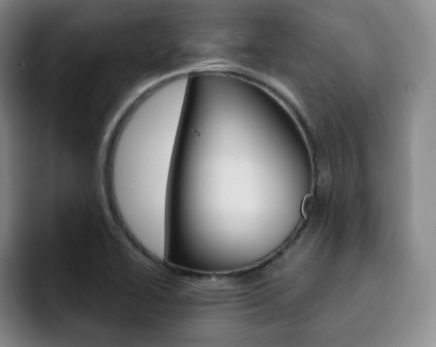 X0000093091414200709260900